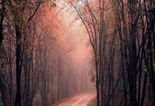 美洲杯2024赛程表是怎样安排的？